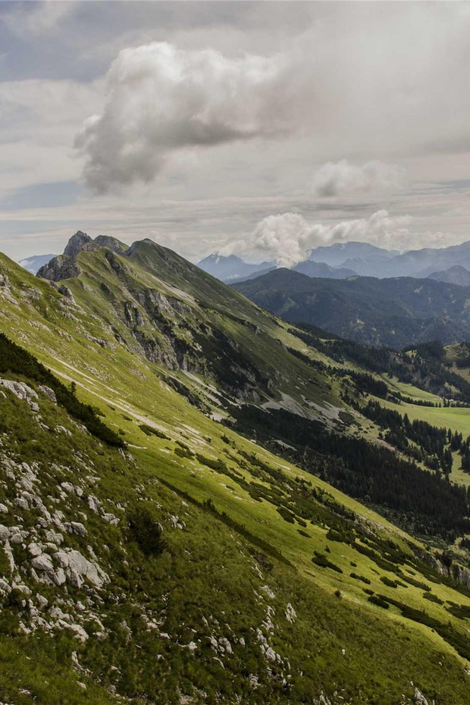 Beispielbild: Immobilienfotografie